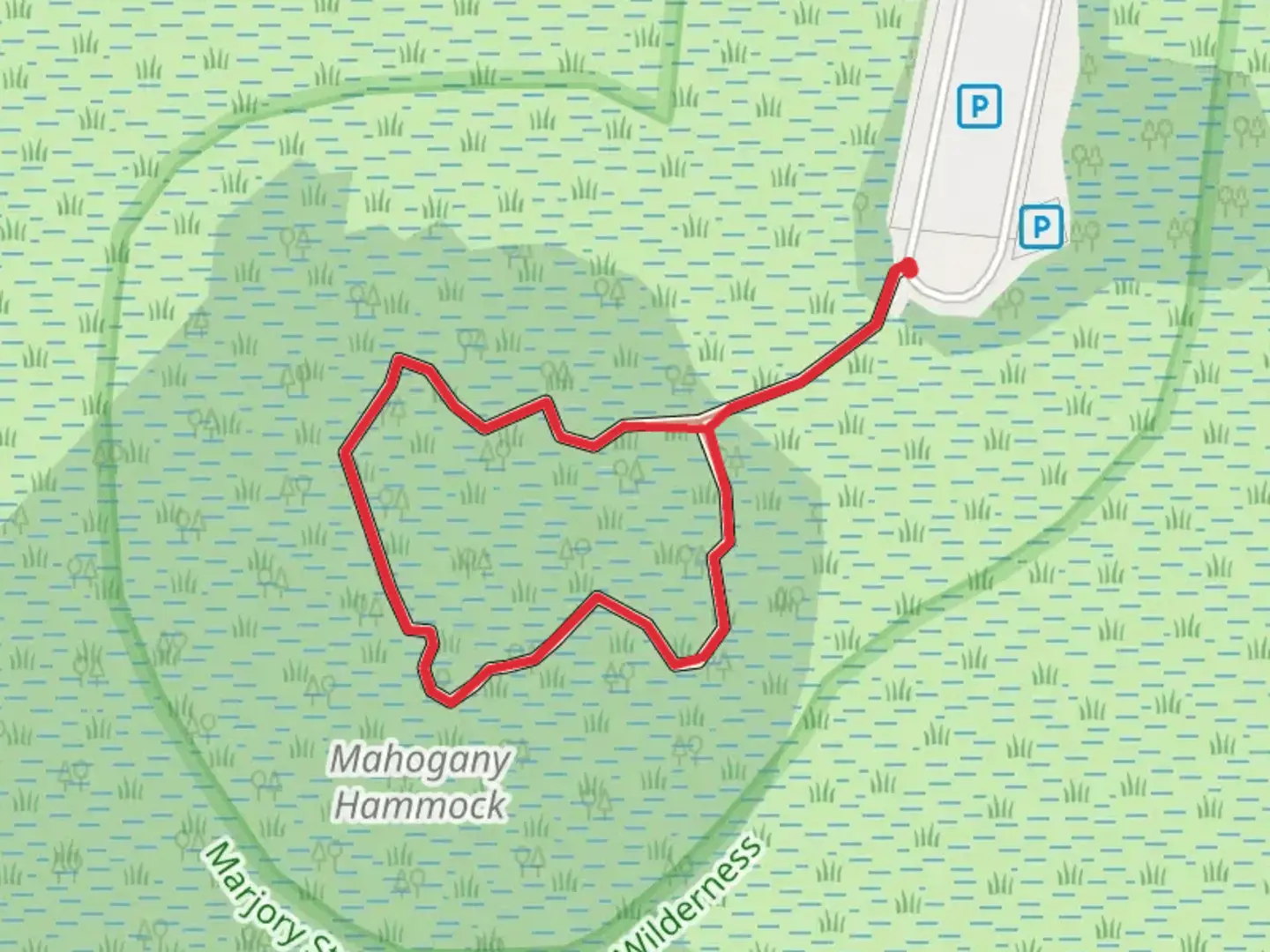 An image depicting the trail Mahogany Hammock Loop Trail and its surrounding area.