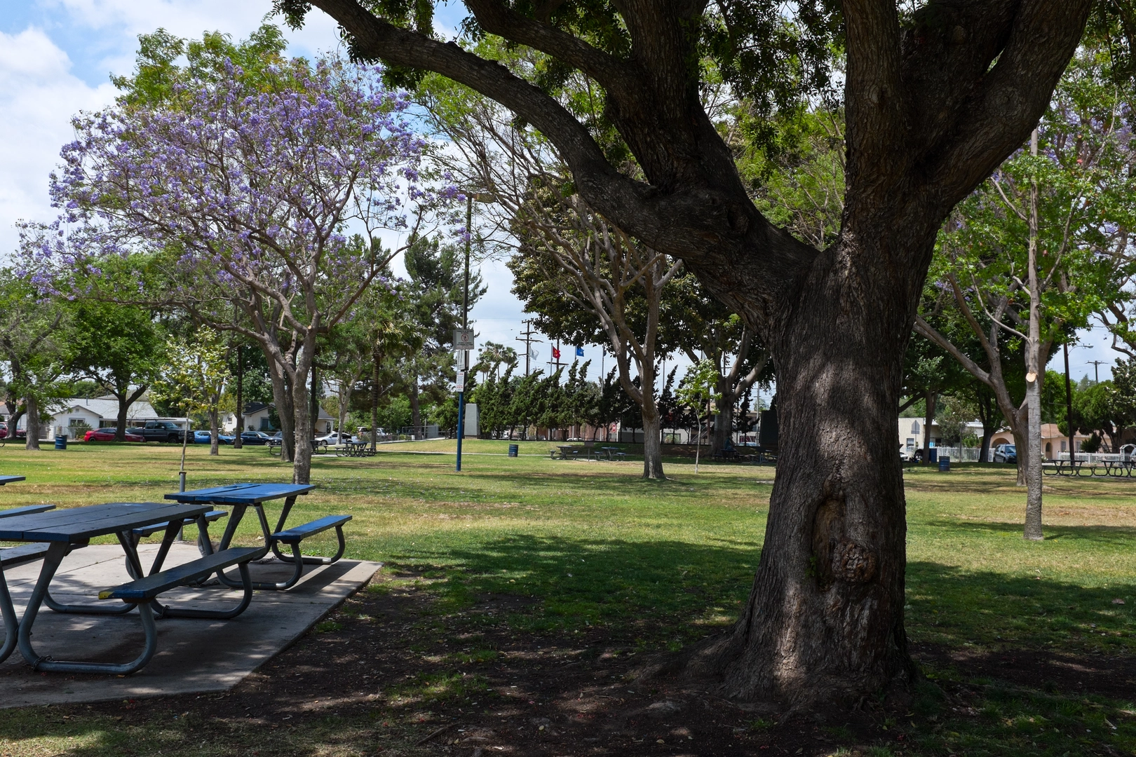 An image depicting the trail Bell Gardens Veterans Park Loop and its surrounding area.