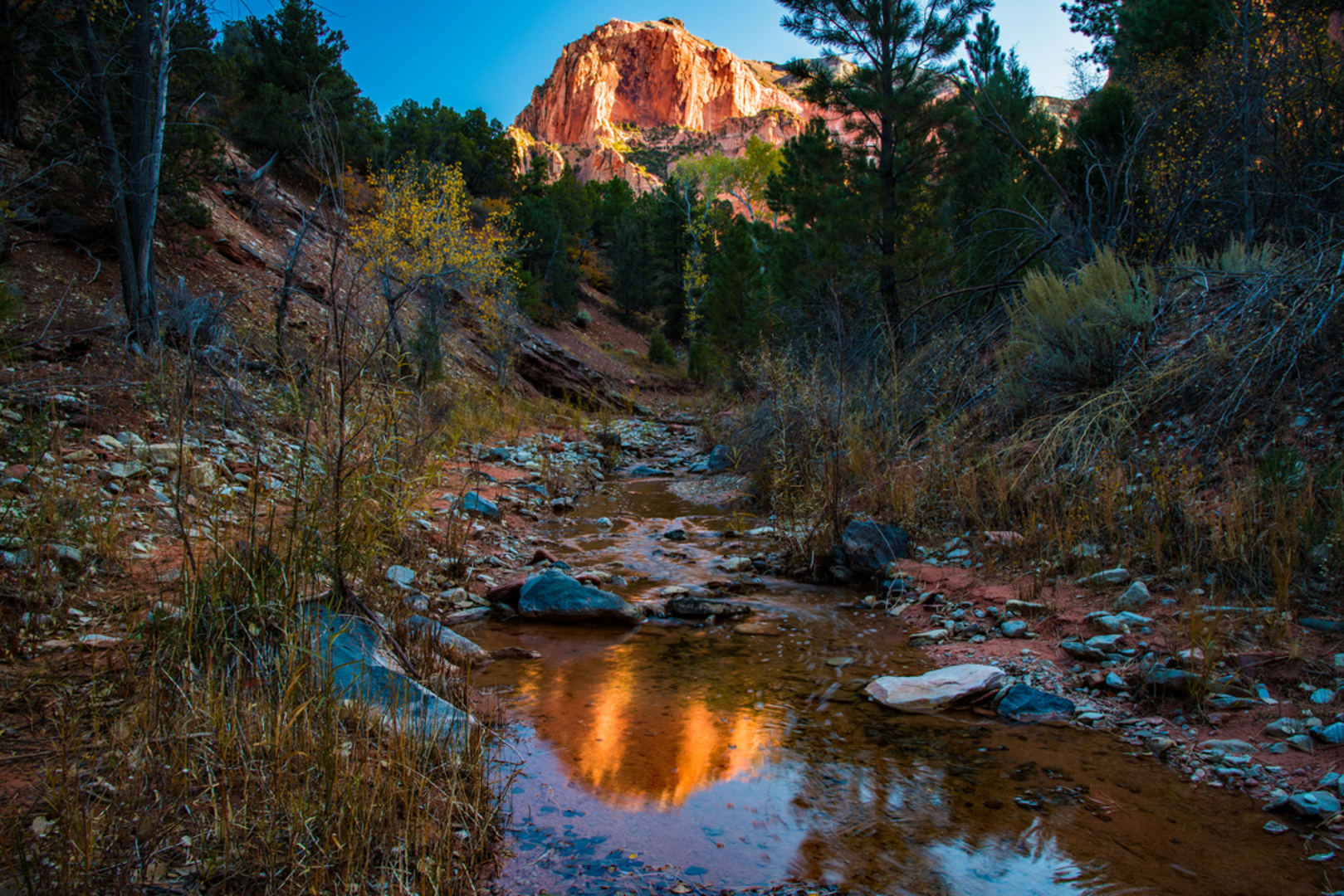 An image depicting the trail Middle Fork Taylor Creek Trail and its surrounding area.