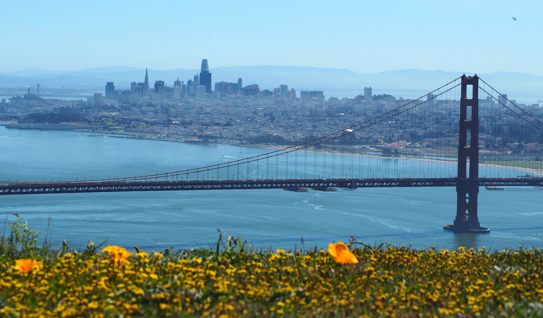 An image depicting the trail Coastal Trail and California Coastal Trail Loop and its surrounding area.