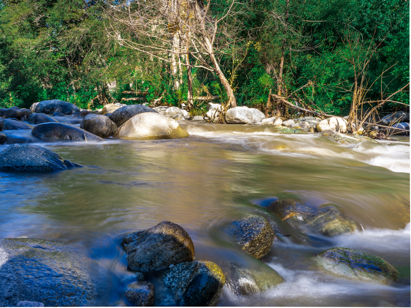 An image depicting the trail West Fork San Gabriel River Walk and its surrounding area.