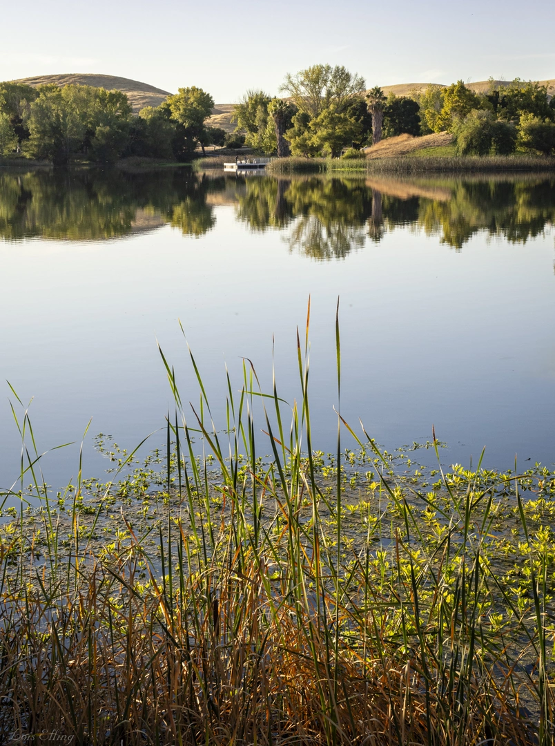 An image depicting the trail Contra Loma Reservoir and Ridge Loop Trail and its surrounding area.
