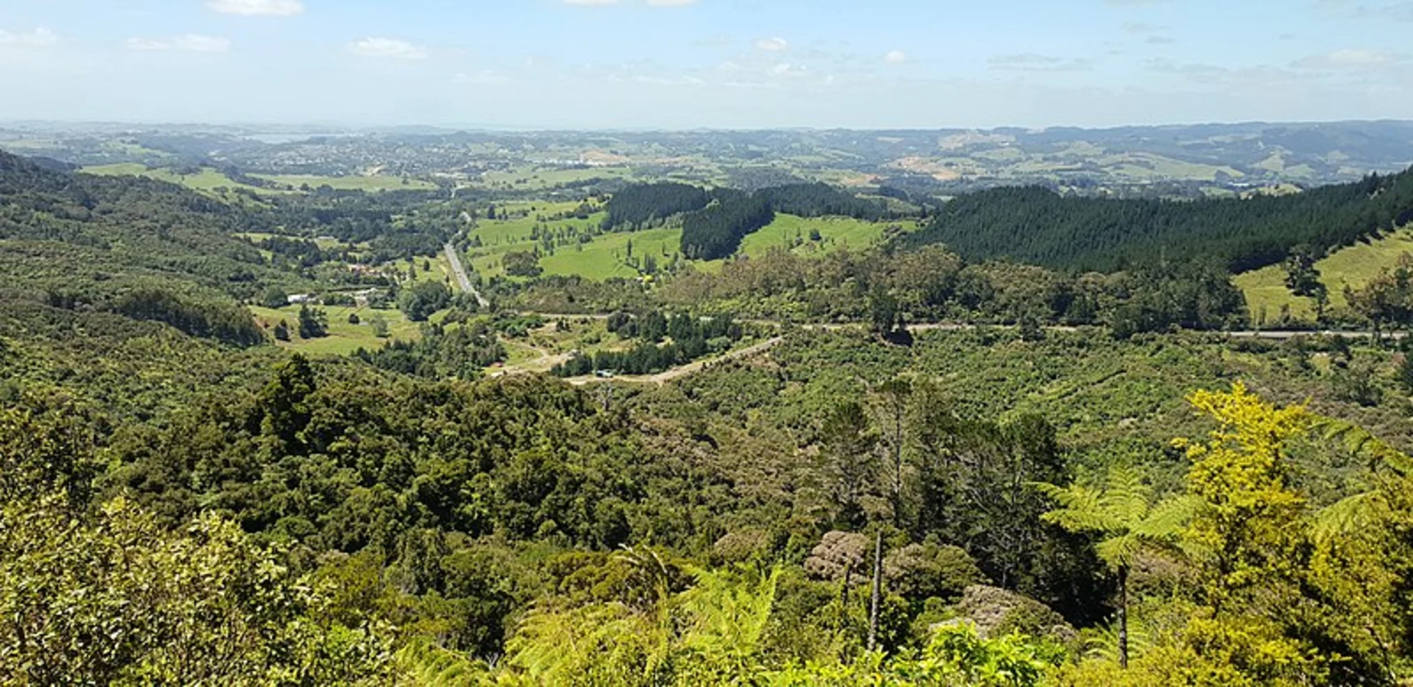 An image depicting the trail Dome Forest to Govan Wilson Road and its surrounding area.