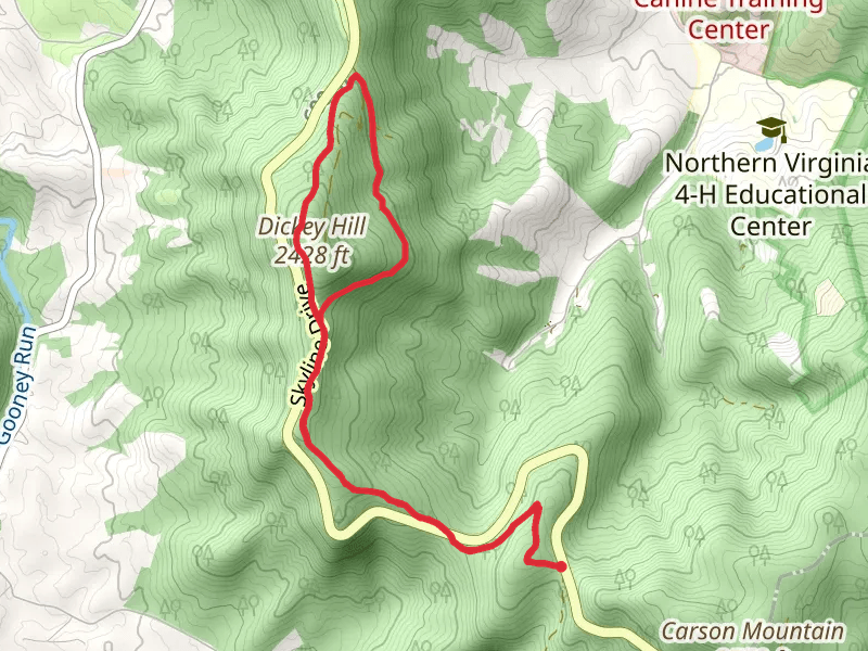 Dickey Ridge, Low Gap and Snead Farm Road Loop