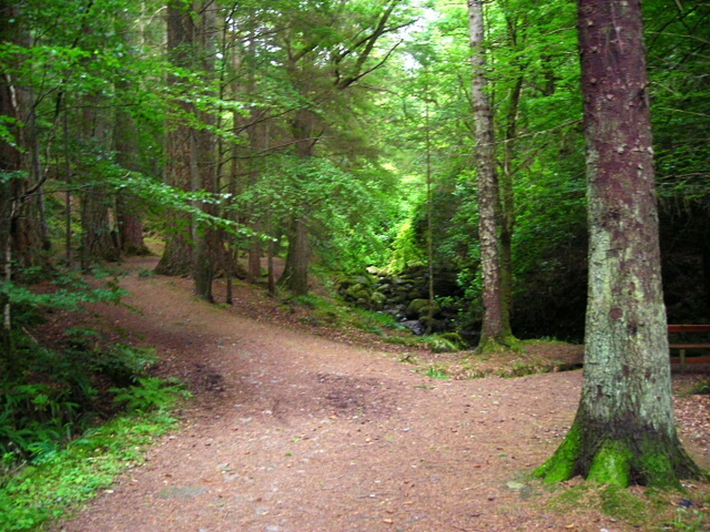 An image depicting the trail Troll Loop - Barcaldine and its surrounding area.