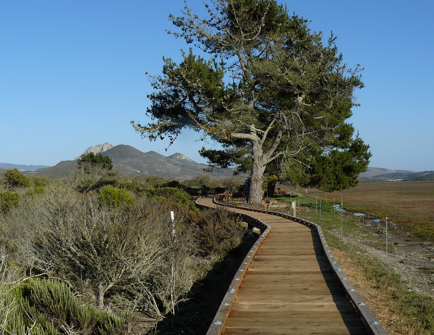An image depicting the trail Marina Peninsula Loop Trail and its surrounding area.