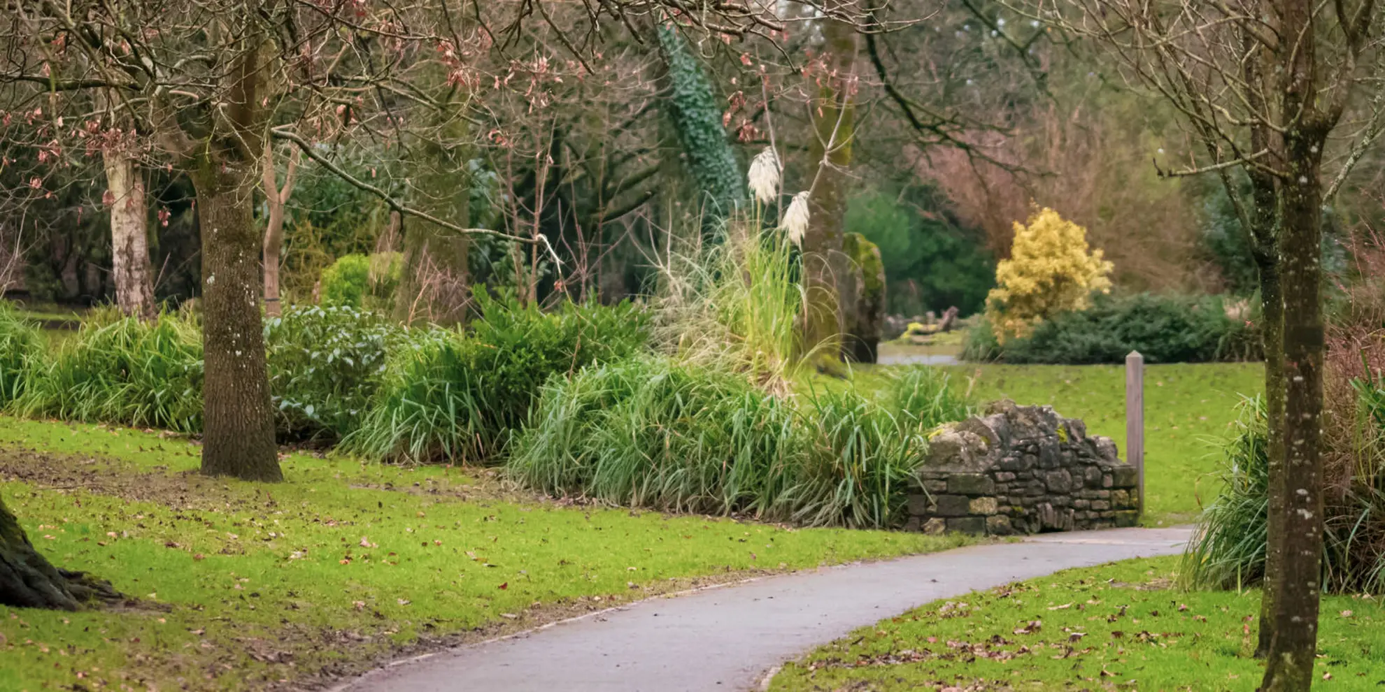 An image depicting the trail East Mendip Way and its surrounding area.