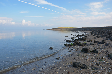 Oosterscheldepad