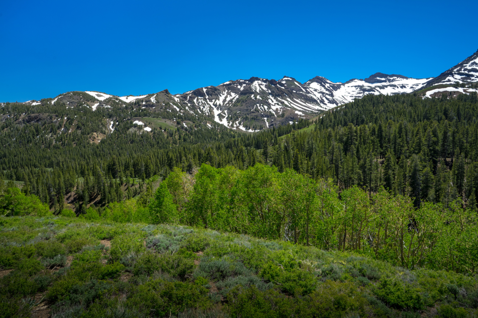 An image depicting the trail Poore Lake and Mud Lake Trail and its surrounding area.