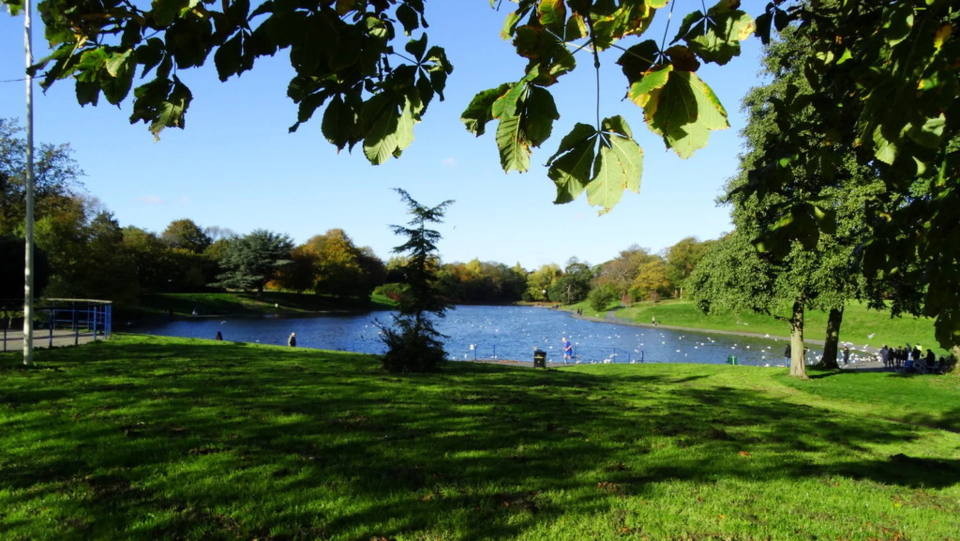 An image depicting the trail Sefton Park Liverpool and its surrounding area.