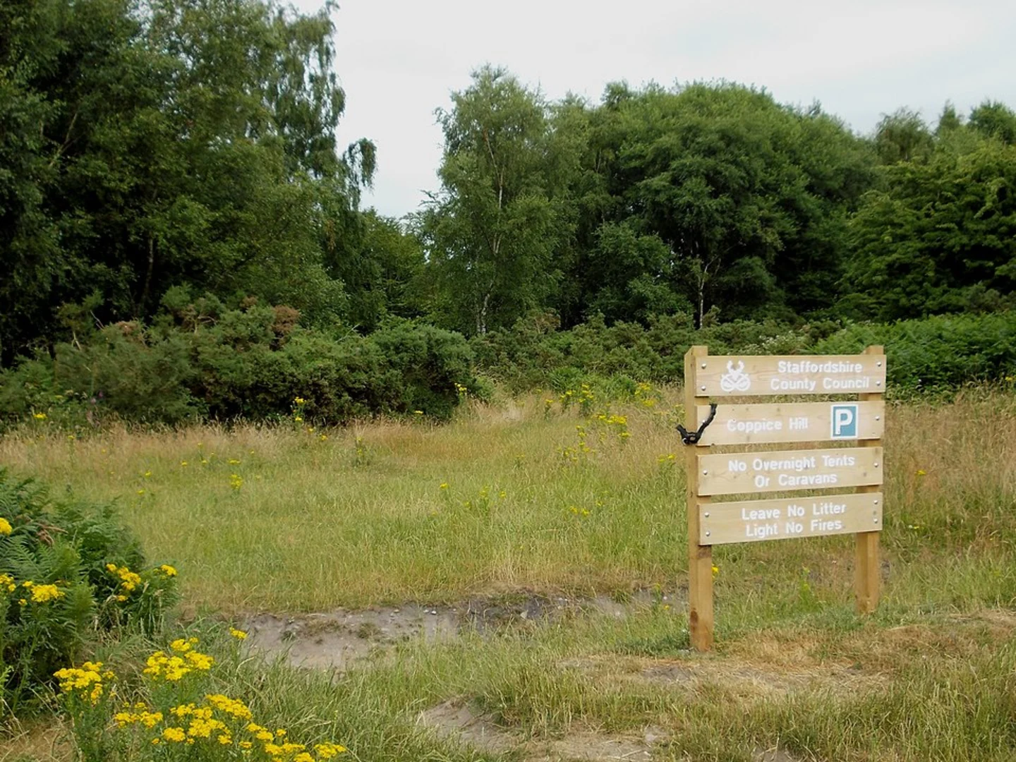An image depicting the trail Oat Hill and Sher Brook and its surrounding area.