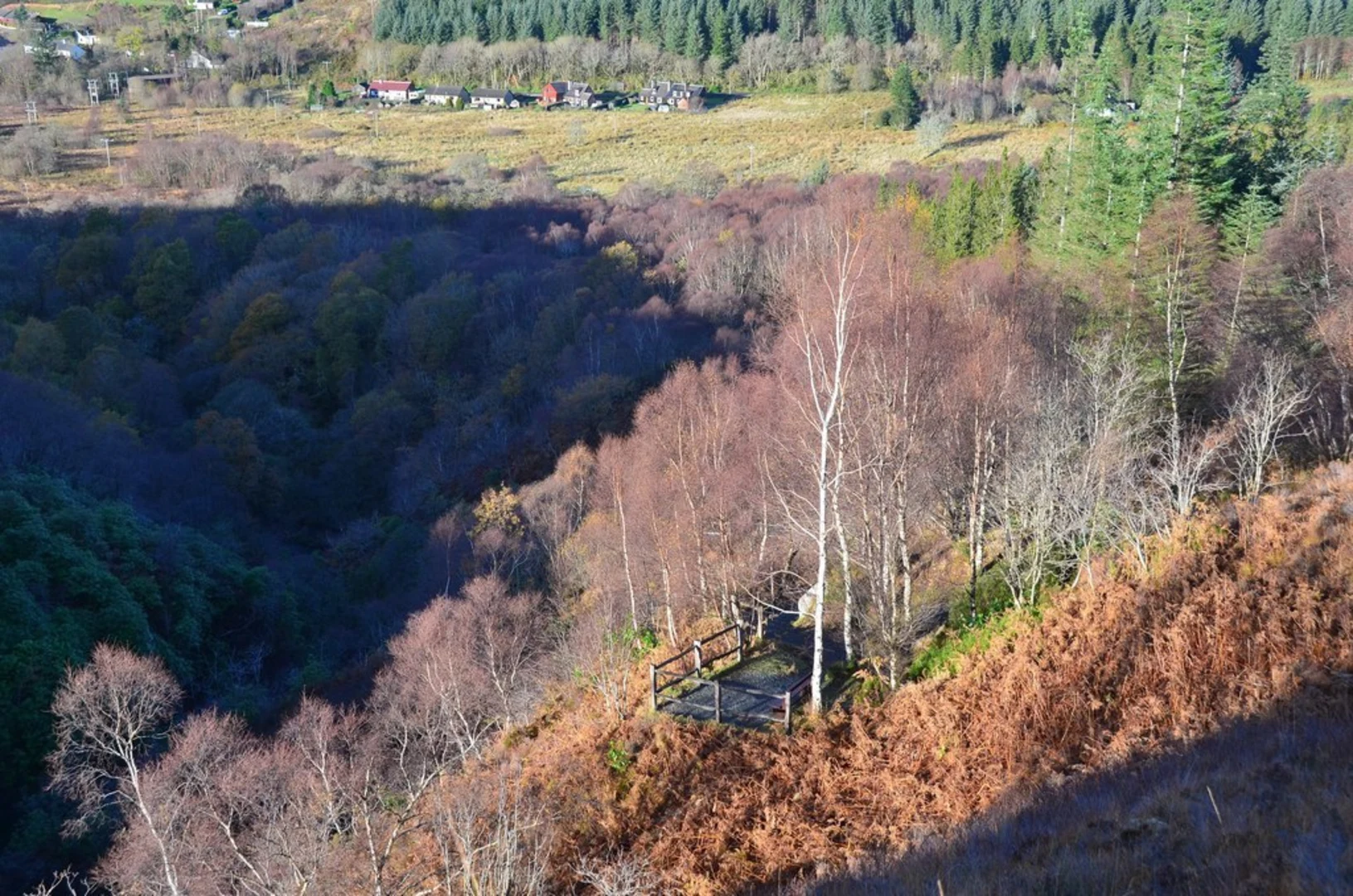 An image depicting the trail Wade Loop Trail in Inchree Forest and its surrounding area.