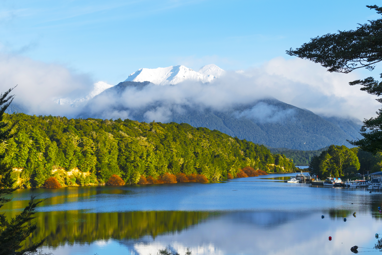 An image depicting the trail Pearl Harbour to Back Valley Hut Track and its surrounding area.