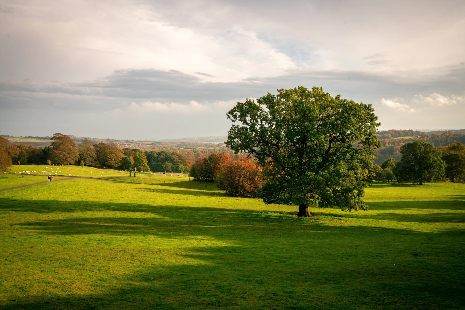 An image depicting the trail Todmorden to York Walk and its surrounding area.