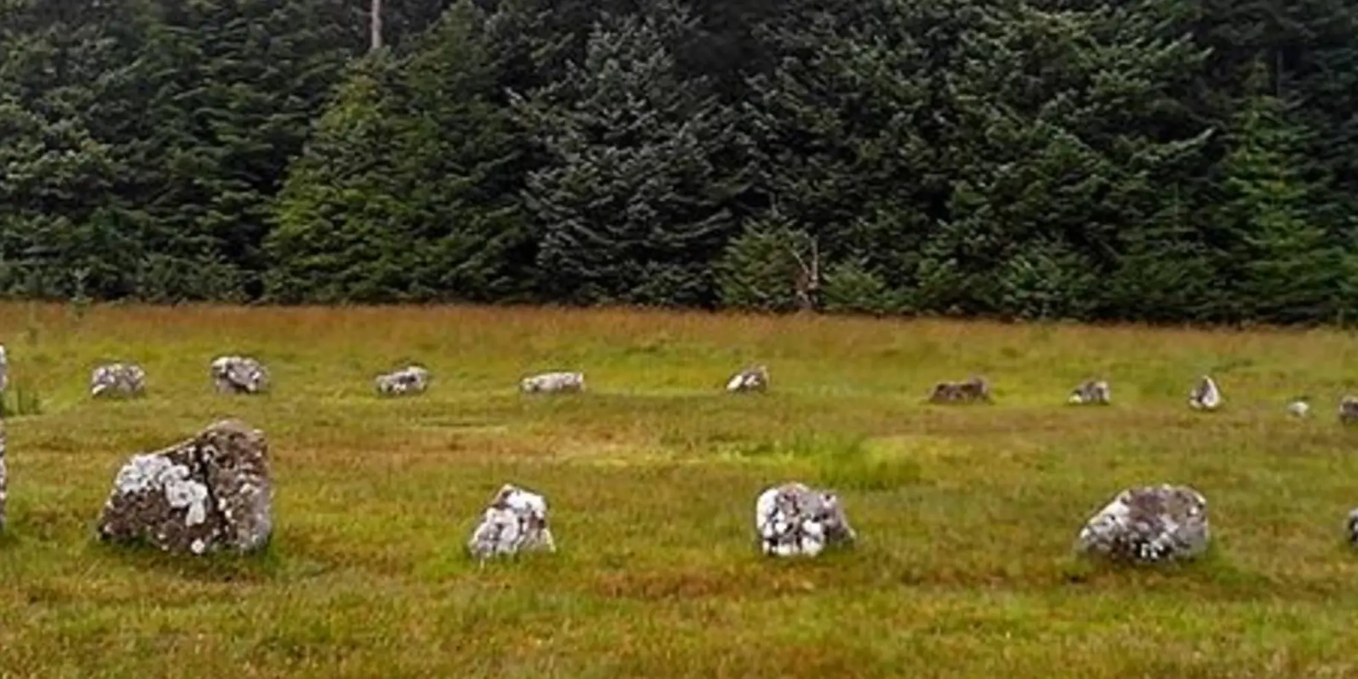 An image depicting the trail Froggymead and Hemstone Rocks and its surrounding area.
