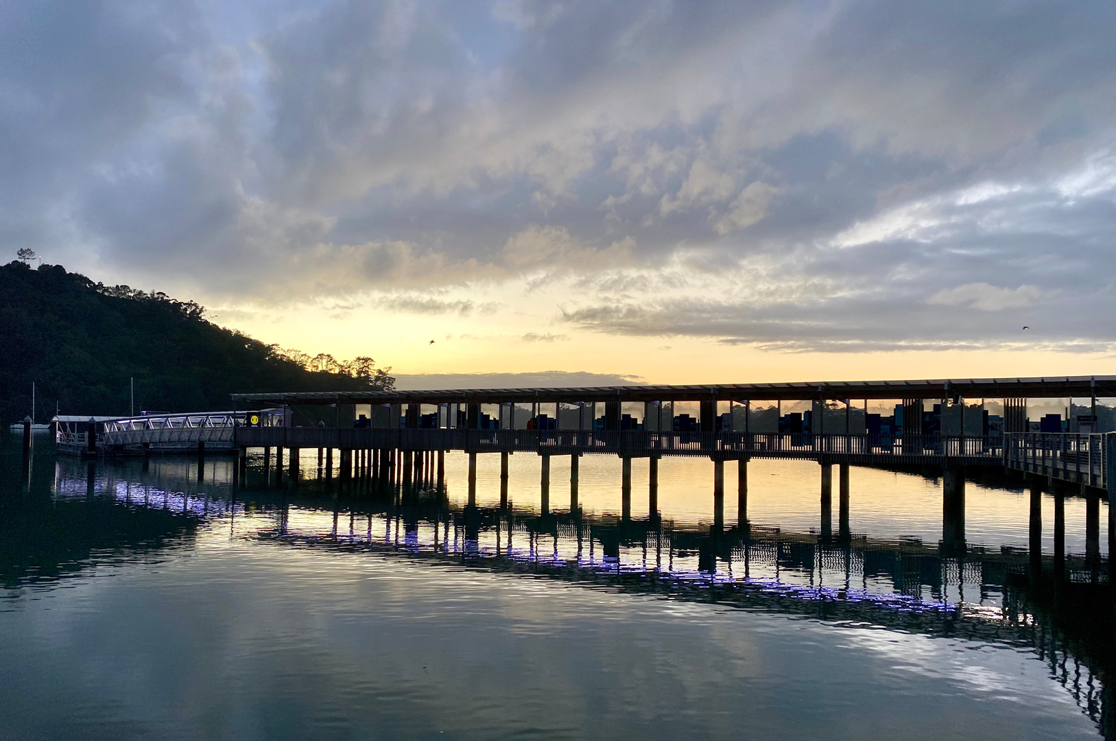 An image depicting the trail Hobsonville Point Coastal Walkway and its surrounding area.