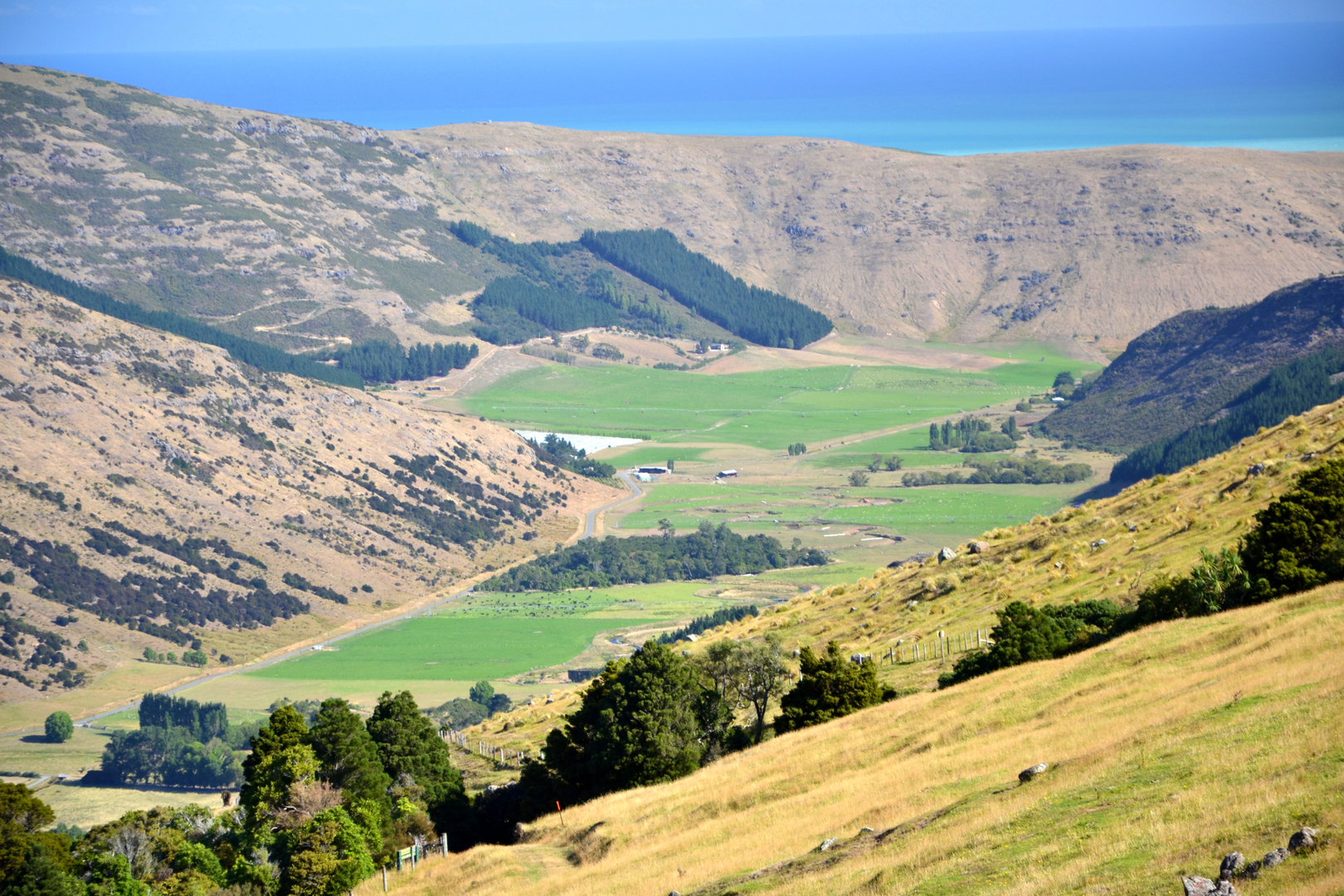 An image depicting the trail Kaituna Valley Packhorse Hut Track and its surrounding area.