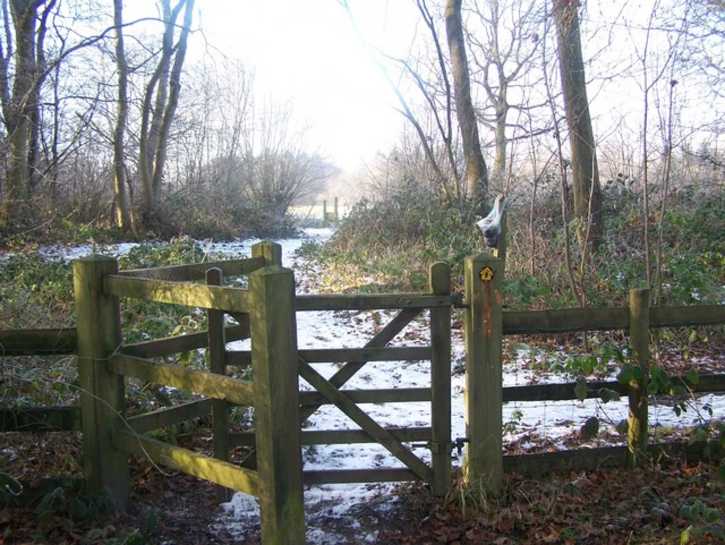 An image depicting the trail Greatpark Wood, Horseholders Wood and Camer Park Loop and its surrounding area.