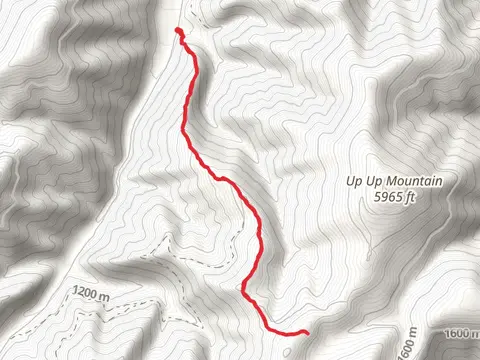 UP UP Creek Trail