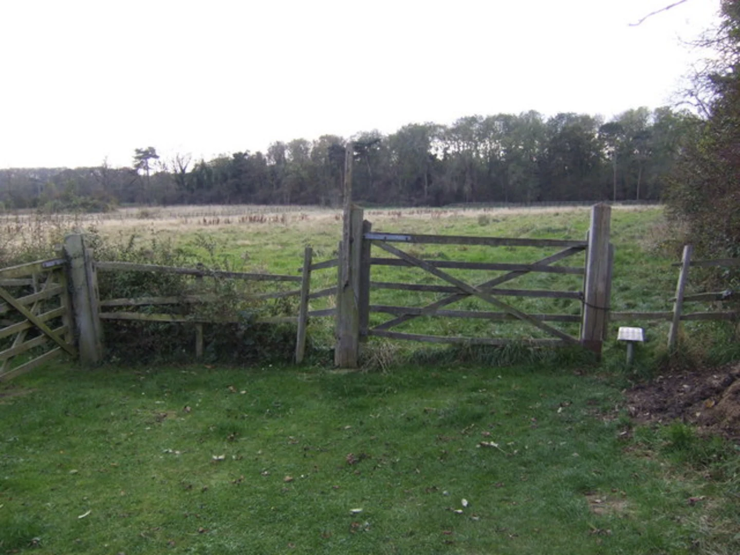 An image depicting the trail Weelsby Woods Walk and its surrounding area.