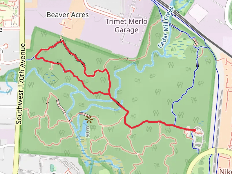 Mink Path, Old Wagon Trail and Vine Maple Trail