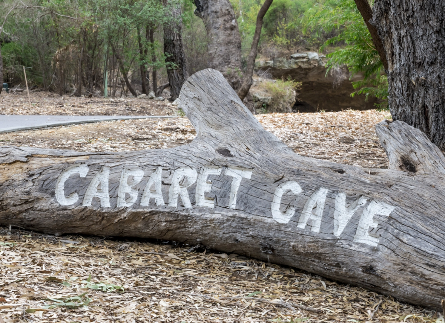 An image depicting the trail Yanchep Rose Trail and its surrounding area.