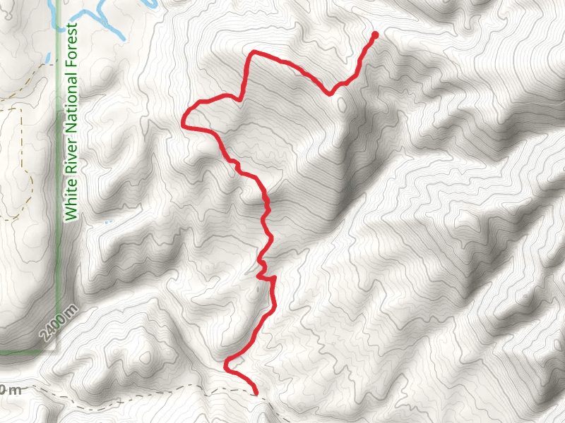 Lone Pine Trail
