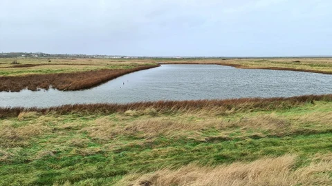 Tollesbury Loop