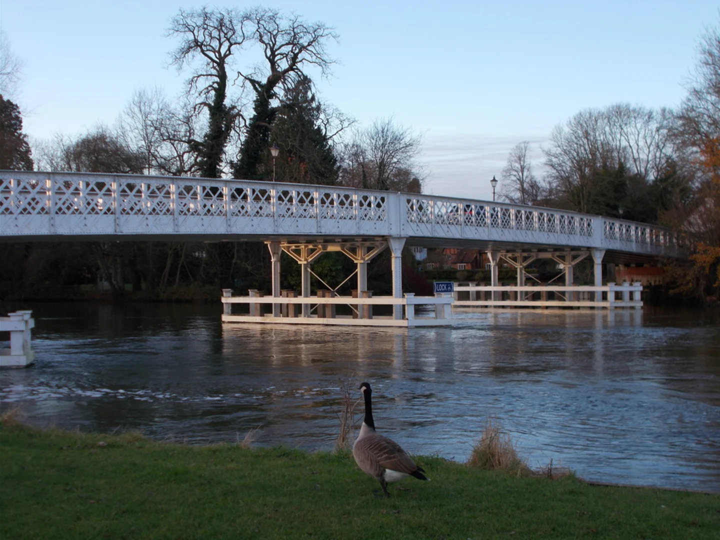 An image depicting the trail Whitchurch On Thames to Goring and Streatley Walk and its surrounding area.