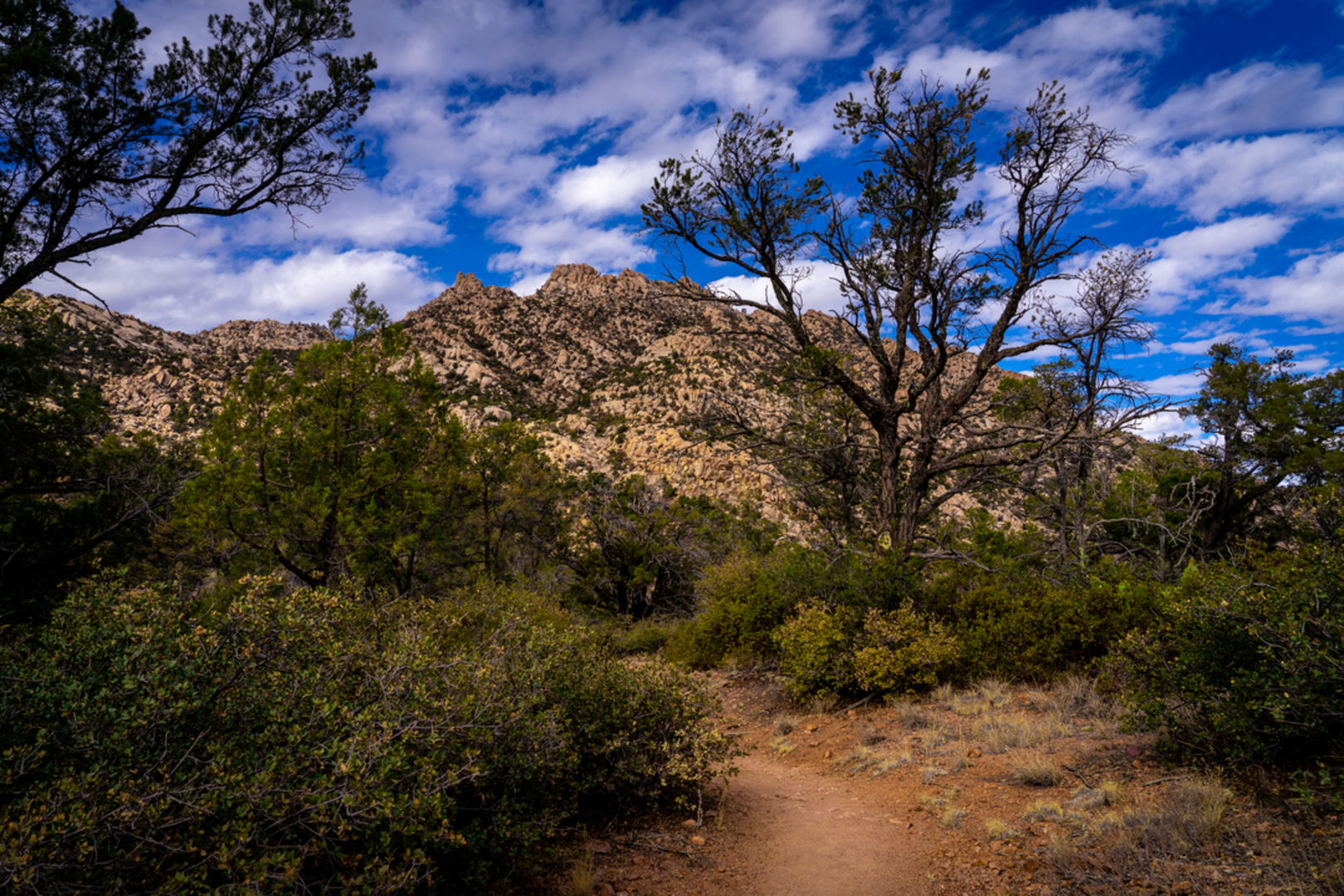 An image depicting the trail Balancing Rock Loop Trail and its surrounding area.