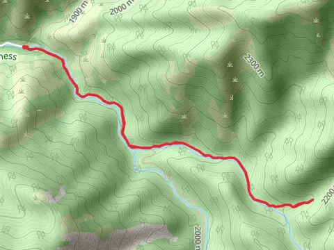 Mount Naomi Trail and Little Left Hand Fork Creek