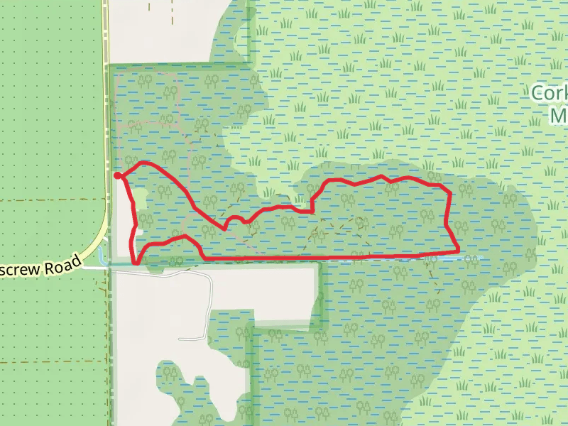 Crew Cypress Dome Primitive Campsite Loop