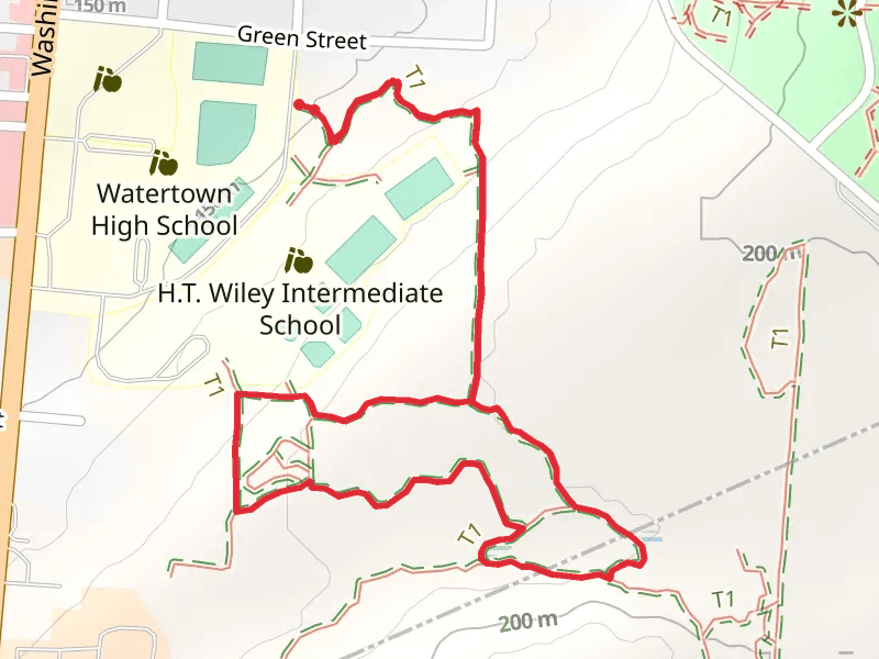 Wiley Yellow - Blue Loop Trail