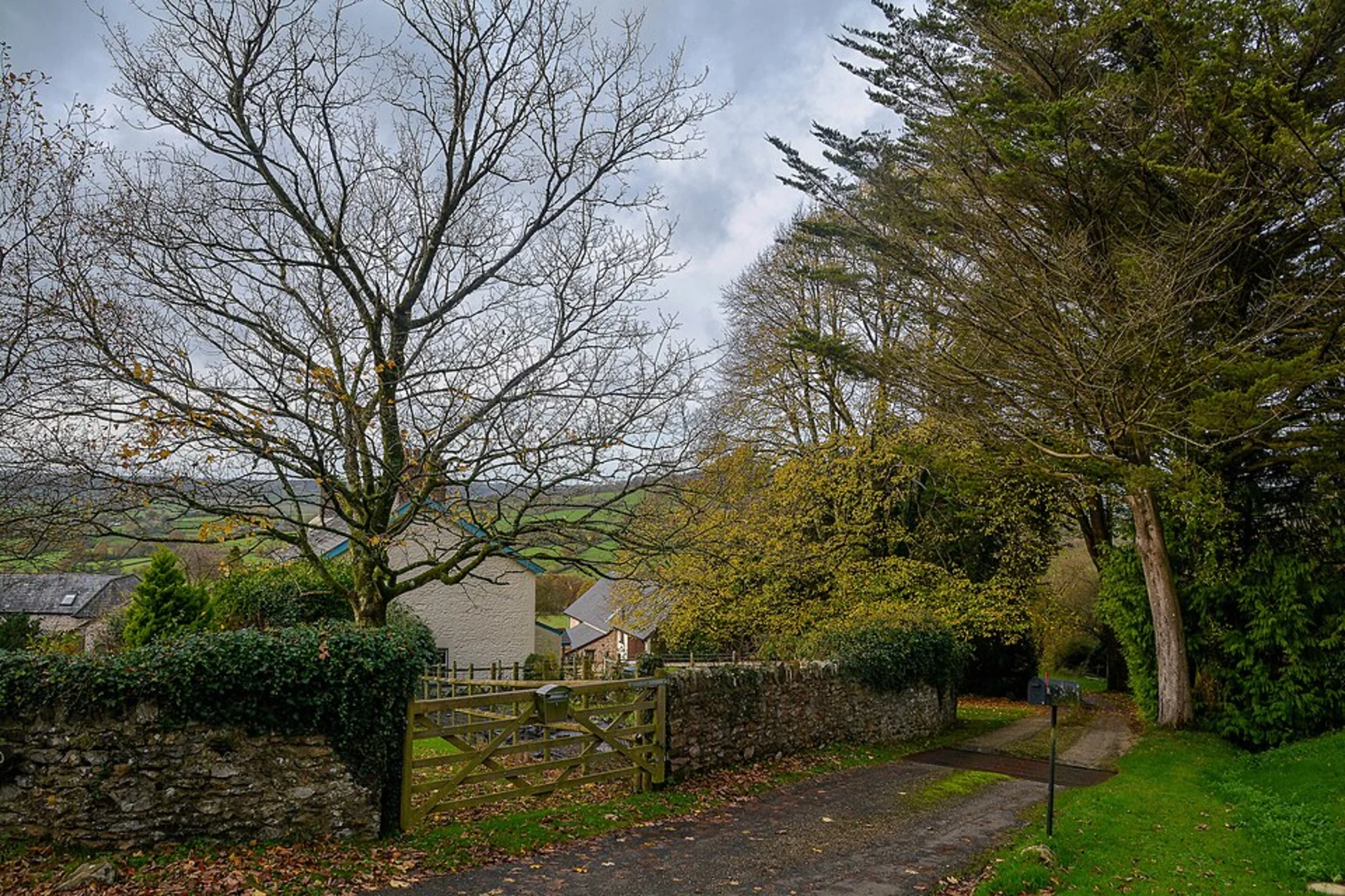 An image depicting the trail Alder Grove and Danes Mill Copse Loop and its surrounding area.