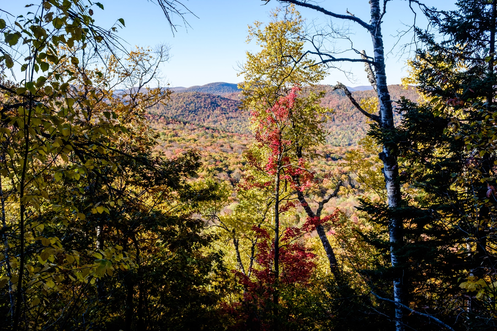 An image depicting the trail Middle Settlement Lake Trail and its surrounding area.