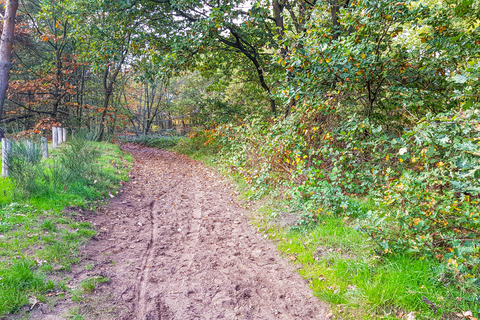 De Boberden, Gastelsche Heide, Budelerbergen and Tungelerwallen Loop