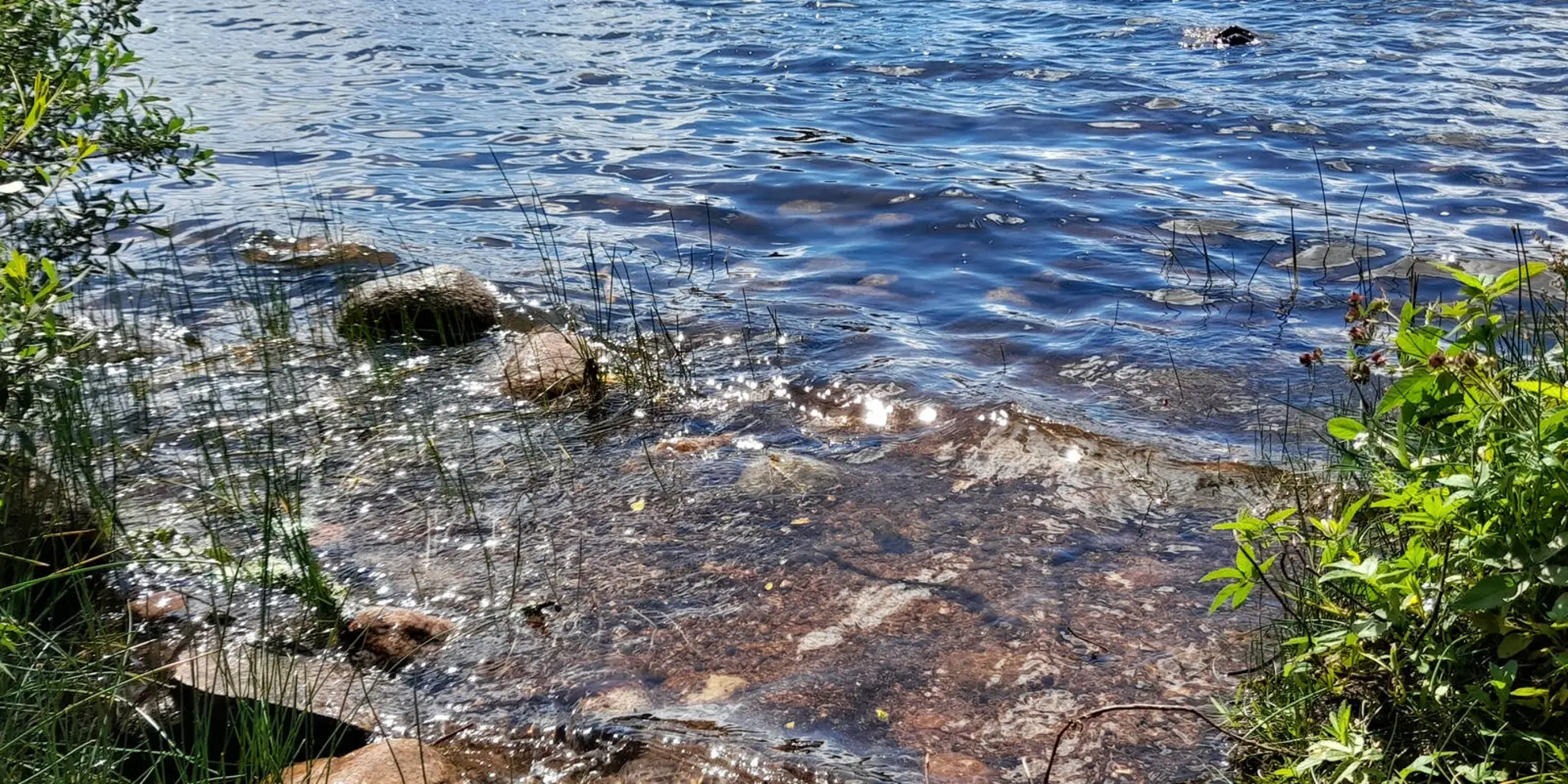 An image depicting the trail Loch Kinord Walk and its surrounding area.