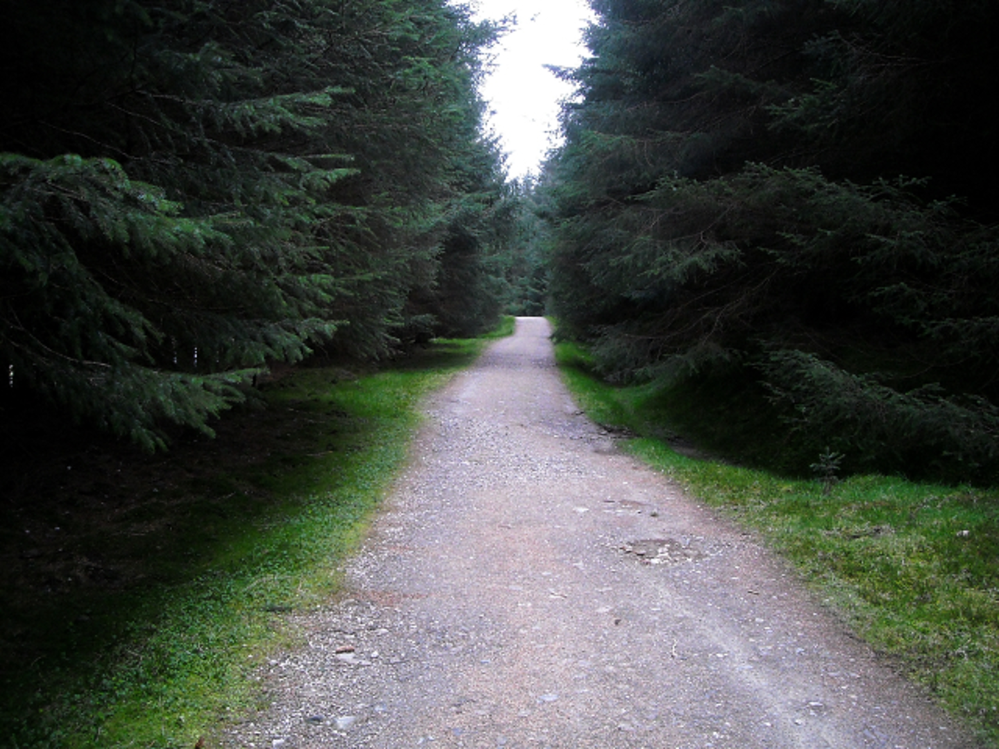 An image depicting the trail Croe Water Riverside Loop and its surrounding area.