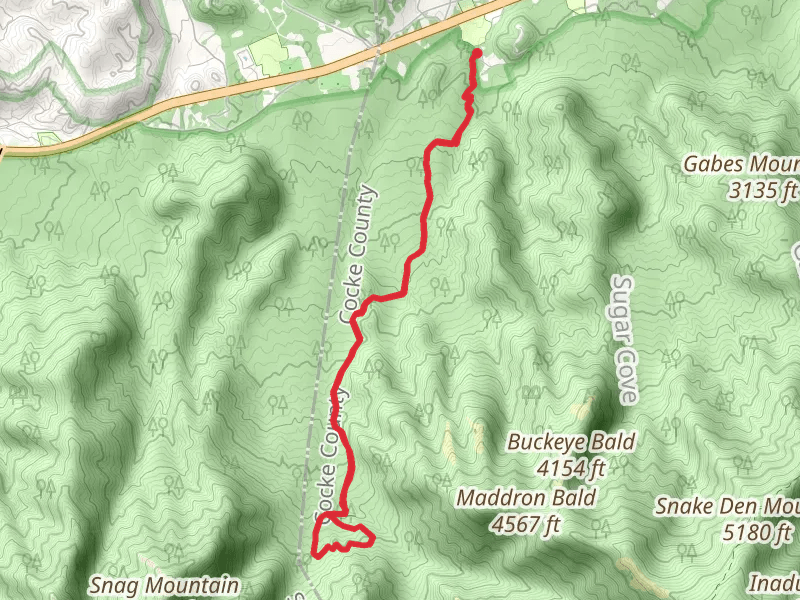 Maddron Bald Trail Loop