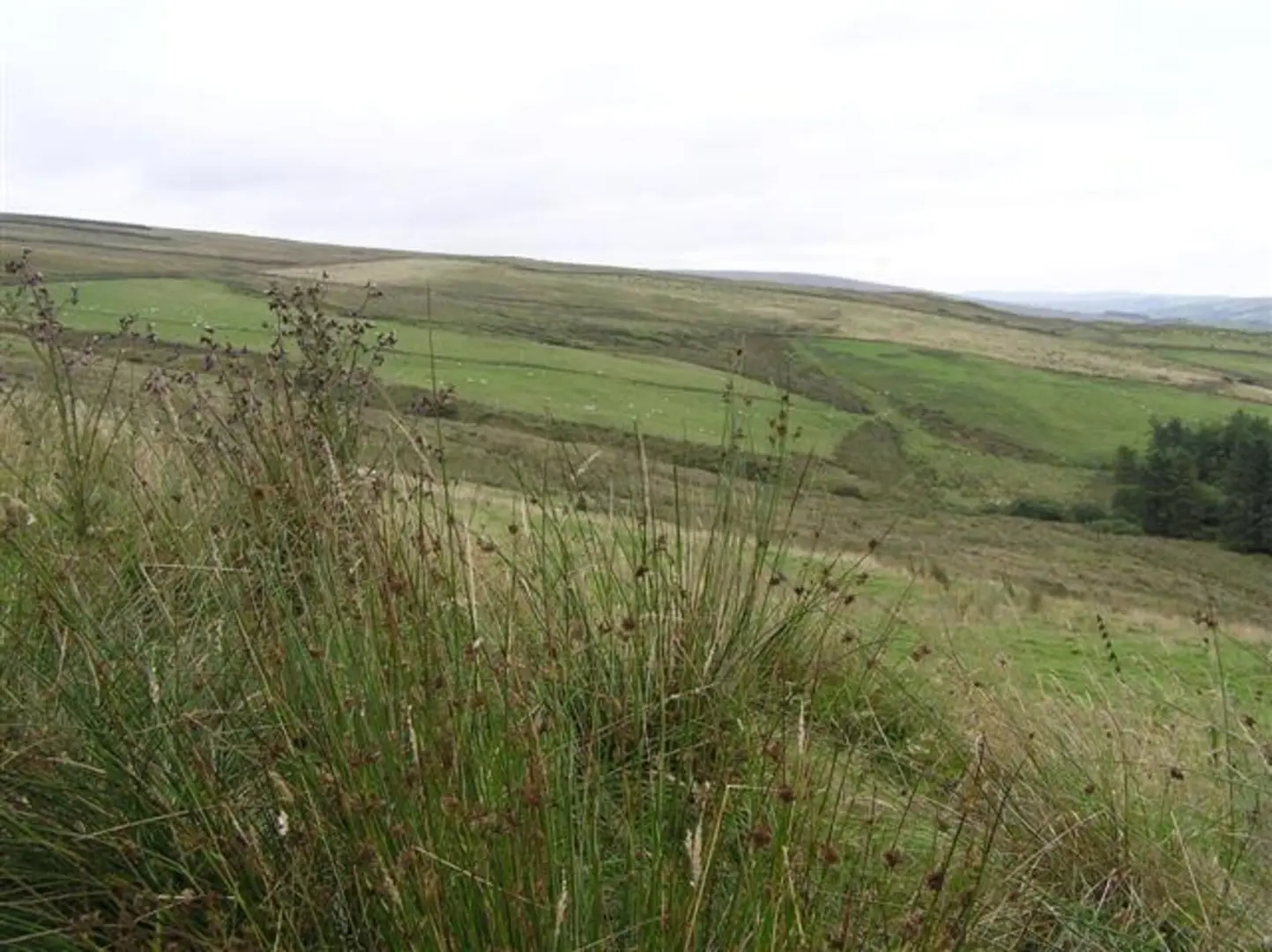 An image depicting the trail Craignamaddy and Mullaghbolig from Barnes Gap and its surrounding area.