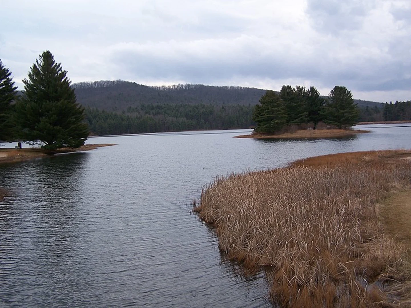 An image depicting the trail Lake Sherwood Trail and its surrounding area.