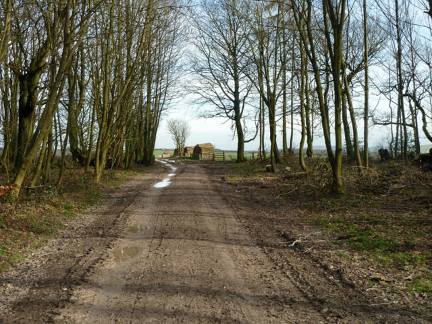 An image depicting the trail Chalkpit Wood, Barnsfarm Hill, Springhead Hill and Rackham Hill via South Downs Way and its surrounding area.