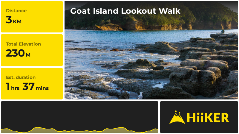 Goat Island Lookout Walk | Rodney | New Zealand