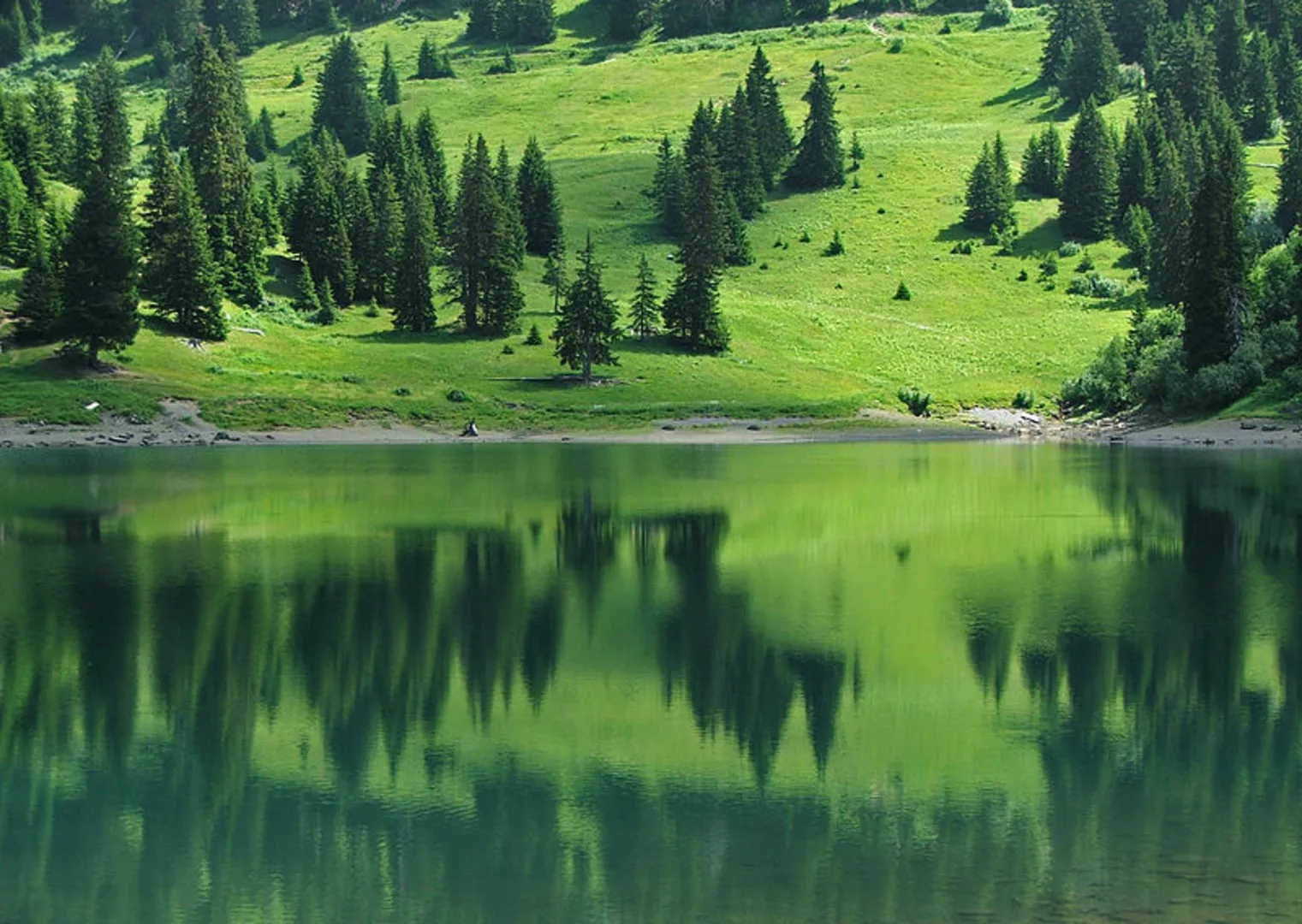 An image depicting the trail Lac des Chavonnes and Lac de Bretaye Loop and its surrounding area.