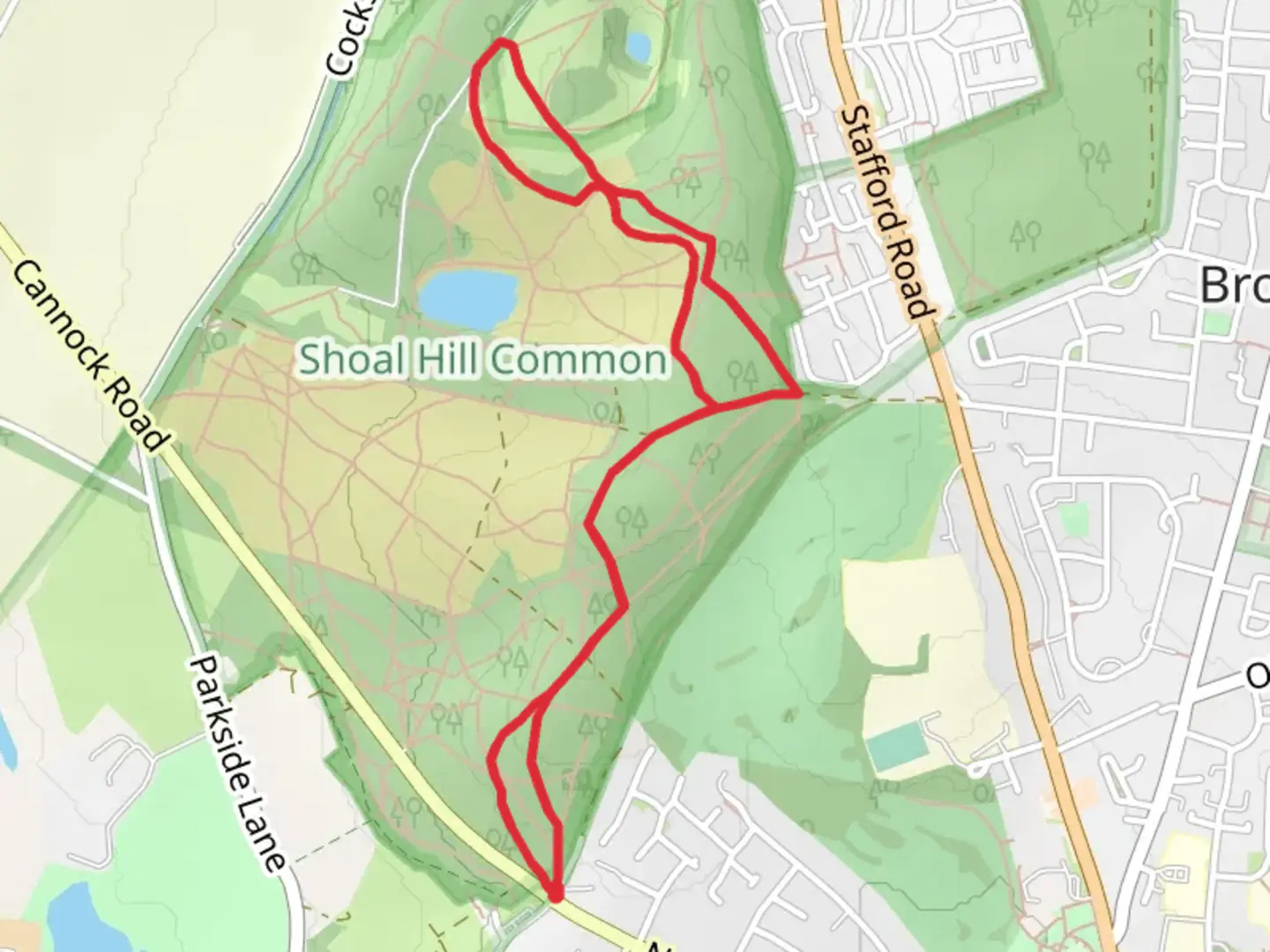 An image depicting the trail Shoal Hill and its surrounding area.