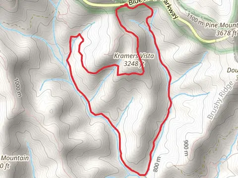 Bad Fork Trail and Wash Creek Road Loop