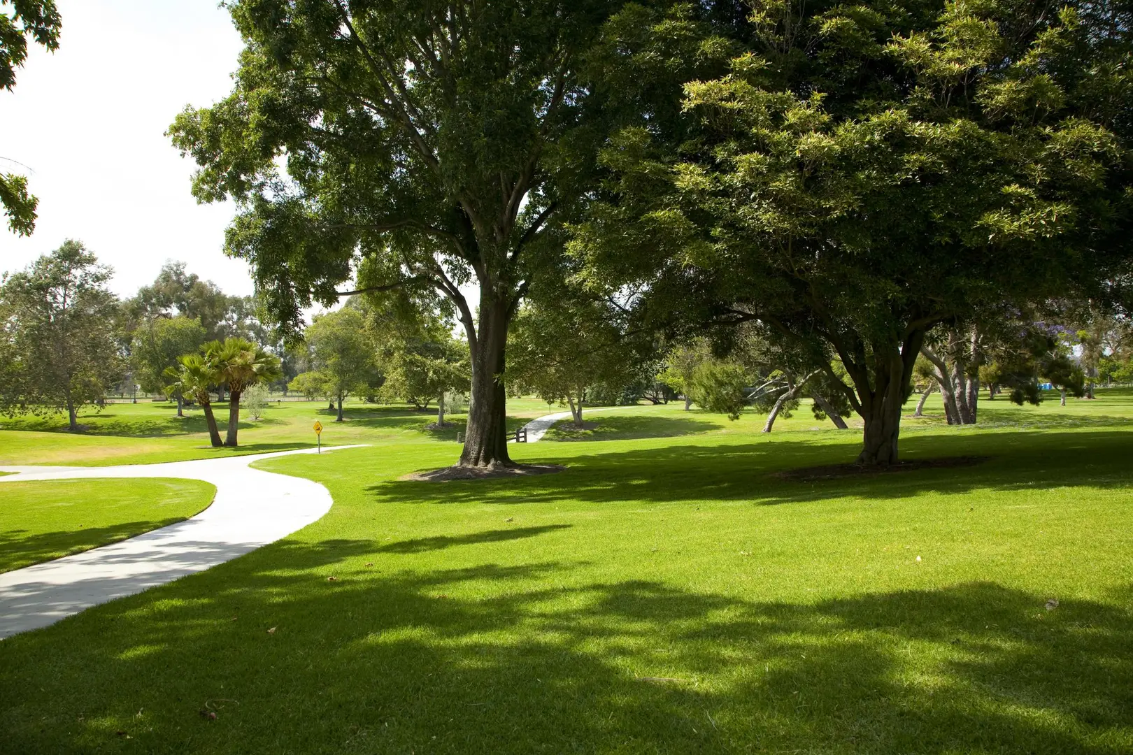 An image depicting the trail Mile Square Regional Park Loop and its surrounding area.