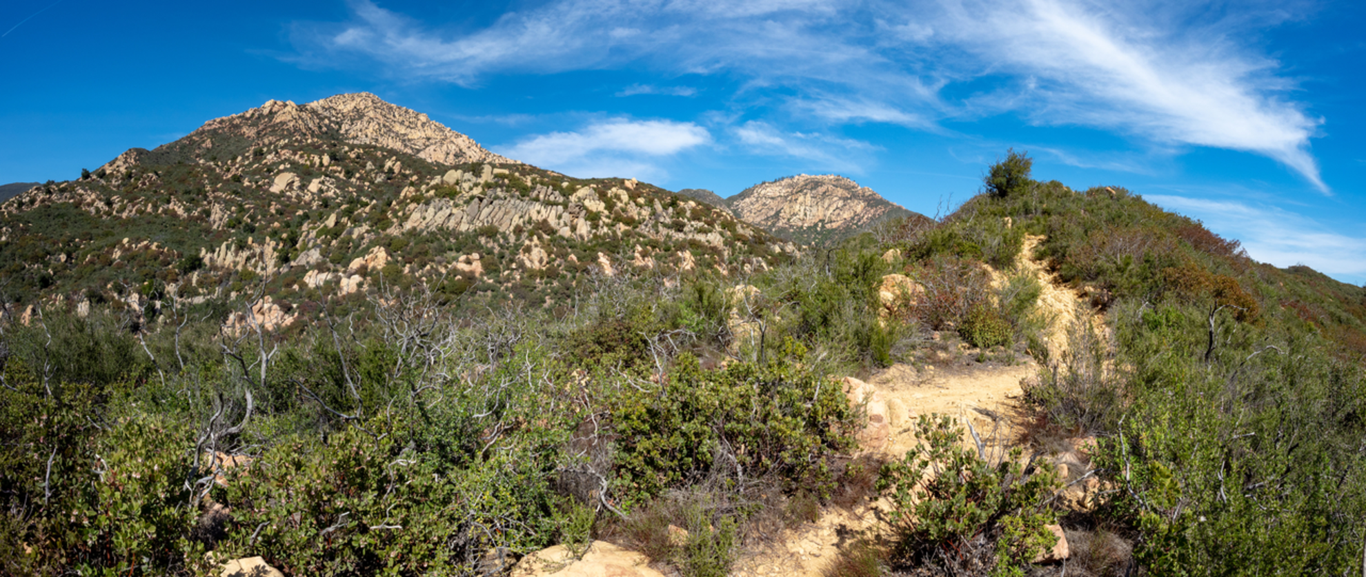 An image depicting the trail Cold Spring Trail and its surrounding area.