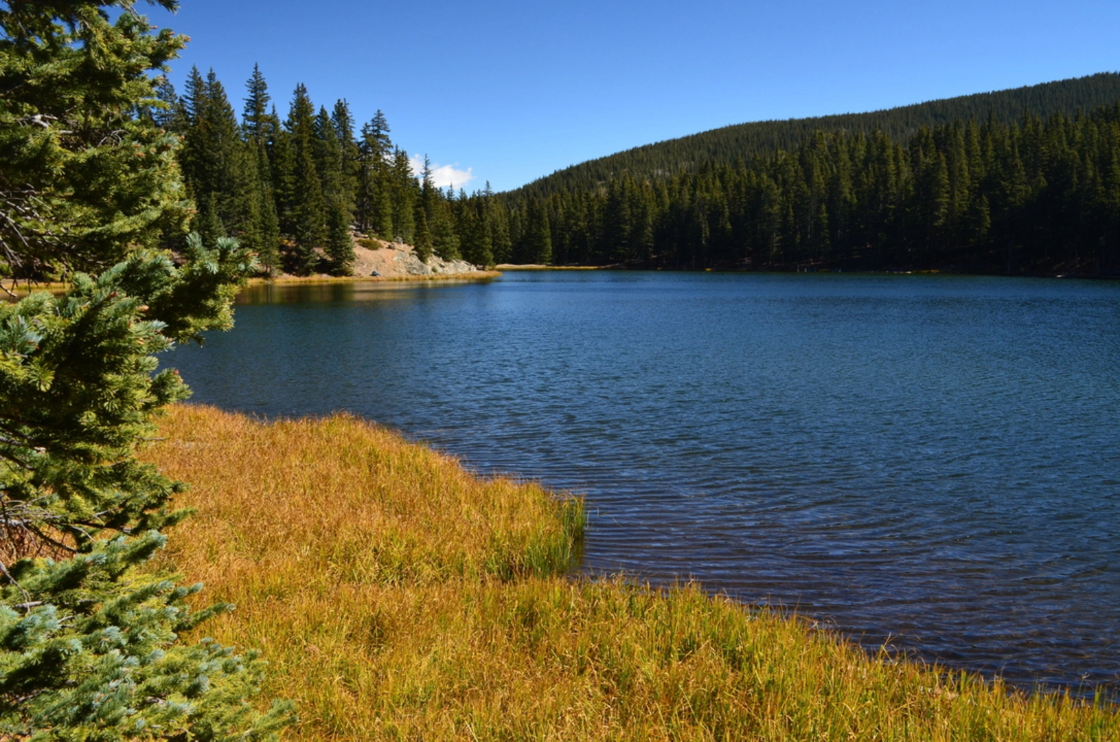 An image depicting the trail Middle Fork Lake Trail and its surrounding area.