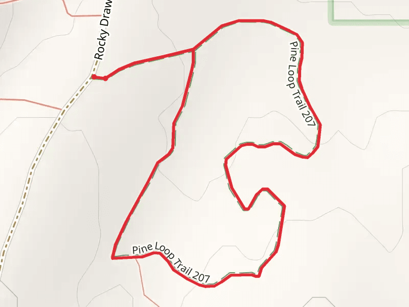 Pine Loop Trail